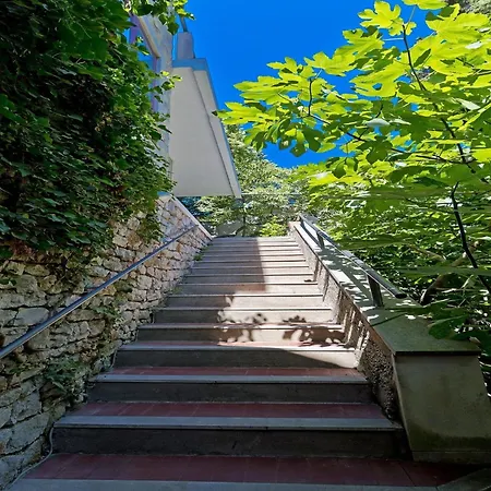 Magnolia Art * Ντουμπρόβνικ